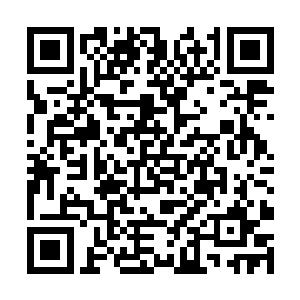 这边那个愚蠢的关长就把和华国的通关口岸给关闭了二维码生成