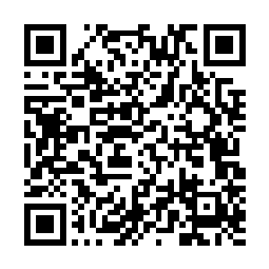 这近乎癫狂的原始的生命力的冲动中包孕了天地乾坤的灵气二维码生成