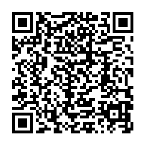 这还不算正在不断涌进来的散修和依旧在观望的大量中小型家族和散修家庭二维码生成