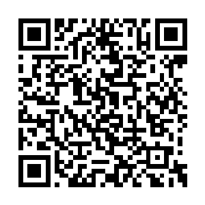 这还只是刚刚吞服完九心莲短时间内造成的效果二维码生成