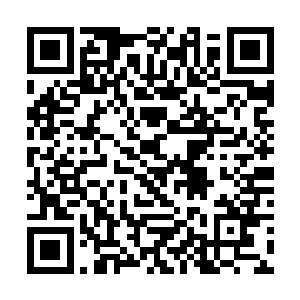 这还是他到了西大陆以后第一次听到有智慧生物提到二维码生成