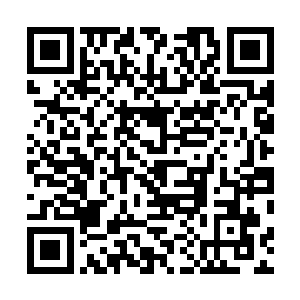 这还是他第一次在宣读协议条款的时候没有被别人打断呢二维码生成