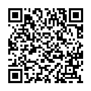 这还是以前在警视厅里听人聊天才get到的新姿势二维码生成