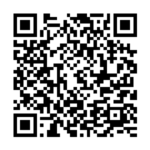 这还是她年轻时候跟凌予一起时悟得的道理――人一旦变得迷信二维码生成