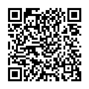 这还是您翻了两天的老黄历又请了名俗专家们一起挑出来的日子二维码生成