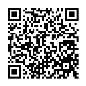 这还是方炎第一次在秦倚天的别墅里面见到厉新年二维码生成