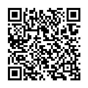 这还是昨晚那么从容淡定的跟霍严叫板儿的杨洛吗二维码生成