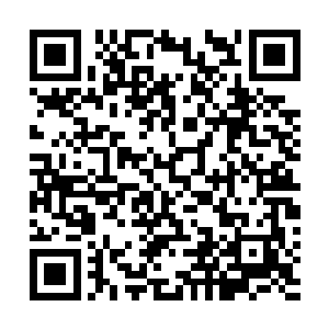 这还是白昊第一次听见专业人士对国家的登月水平的介绍二维码生成