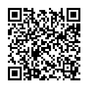 这还是看在大长老为家族做出的那些贡献的情分上二维码生成