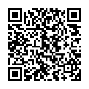 这还是第一次中都学府超越巅峰半圣的精英学院沦落到这个级别二维码生成