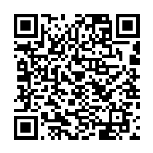这还是考虑到这对道侣有可能合体将气息伪装成一个天仙二维码生成