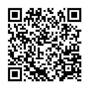 这还是西瑟先生第一次在穆根面前展示自己的权威二维码生成