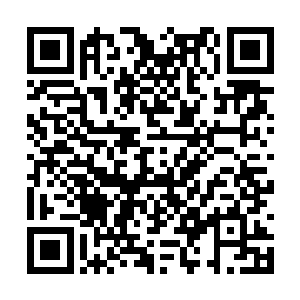 这还算是她第一次看到真正的天下四大高手的较量二维码生成
