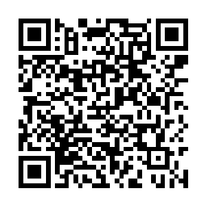 这这这……这怎么又出现了一个麒麟血脉的修士啊二维码生成