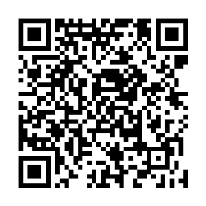 这这这股能量气息竟然和龙岛上那不知名的能量完全一样二维码生成