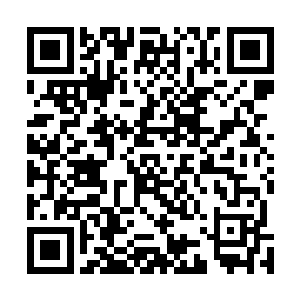 这速度和这力量就连修炼了引龙决的自己都无法相媲美啊二维码生成