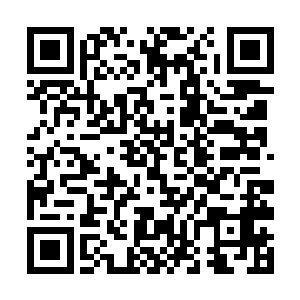 这造化图即便是在万千宇宙也绝对是至宝一般的存在二维码生成