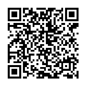 这道人影周身的所有气息与威压皆是消散的干干净净二维码生成