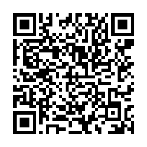 这道修罗令发出一道朦胧的青铜色神光笼罩了林铭二维码生成