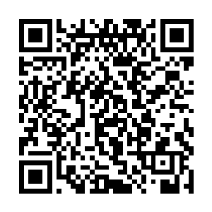 这道心神绝对就是身后追踪的那位转轮巅峰级的强者二维码生成