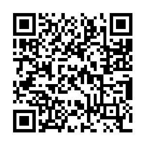这道石墙的材质不同于刚才那些石壁上的黑色石材二维码生成