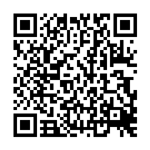 这道神圣剑光在万千云海中精准的斩中了幻天蝶舞造化幡的真身二维码生成