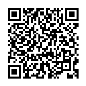 这道黑影的速度和山洞当中禁制攻击的速度根本就没有可比性二维码生成