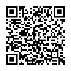 这部作品虽然获得了奥斯卡最佳改编剧本的提名二维码生成