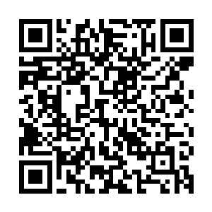 这部分巫师到底有多少能抵抗住大灾变日的意志检定是很难说的二维码生成