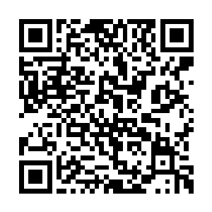 这部电影也入选了本届柏林电影节的主竞赛单元二维码生成