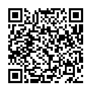 这部电影就需要一个能够在娱乐影视界完全能站得住脚的人二维码生成