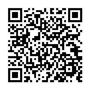 这都是因为你想要谋夺唐纳德遗孀的财产所起的示范效应二维码生成