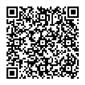 这都过了一个晚上了　为什么整个酒店　特别是艾尼莎和泽梅尔那边一点动静都沒有二维码生成