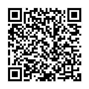 这酒楼外面的道路上恐怕早就被从各地赶来祝寿人挤得车水马龙二维码生成