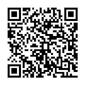 这里一名浑身皮肤淡紫色耳朵尖尖的精灵模样的少女正坐在地上二维码生成