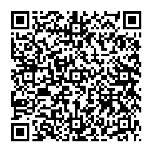 这里一直很安全几乎没有没有人想到他堂堂一个炼虚境界的邪修竟然会在离凡人这么近的地方修炼二维码生成