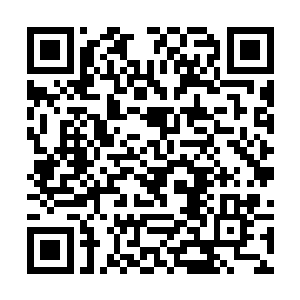 这里不少人的手背都纹着一个毒蛇缠绕成大脑的刺青二维码生成