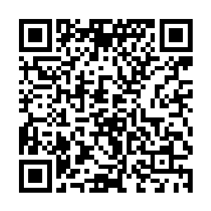 这里乃是当年我拦江剑派祖师偶尔发现的一片小空间二维码生成