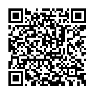 这里乃是我从神风宗的仓库之中盗来的所有资源二维码生成