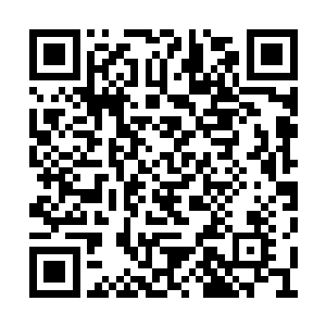 这里任何个部族都不具有成为女真族的先天条件二维码生成