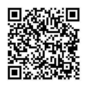 这里住着的大多是医院的高层或者附属医学院的教授二维码生成