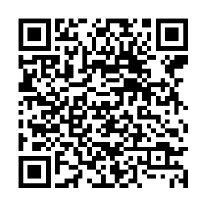 这里便是被曾家人占据成为了曾家埋在族人的墓场二维码生成