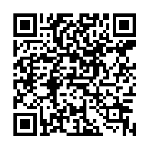 这里倒是跟国内的小吃街很像啊……不过管理更加规范一些二维码生成