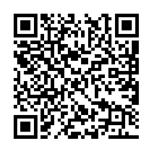 这里到处都是十几个人才能围起来的大树做的房子二维码生成