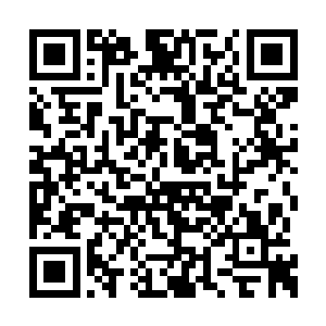 这里和小穿沙甲人有一样毛病的小家伙还有三只二维码生成