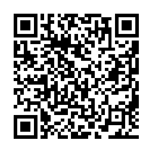 这里地气应都是主人帝气诏令控制……这种简直无中生有手段二维码生成