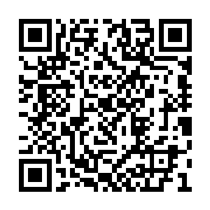 这里天空上的怪物根本就不会去攻击这种飞行器二维码生成