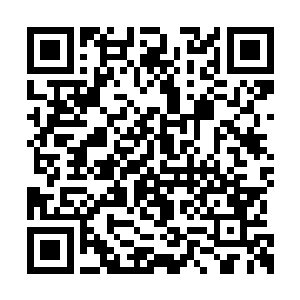 这里孙悟空居然说霍君白只需要随便抗一抗就行二维码生成