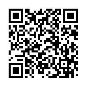 这里就已经能够看到皇城仙域的星域了二维码生成