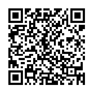 这里就是东方星卫视一年一度的元旦跨年歌会的彩排现场二维码生成